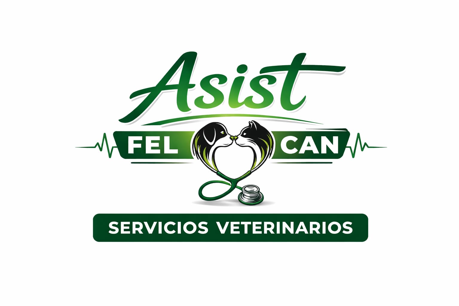 clinica veterinaria Asist fel y can